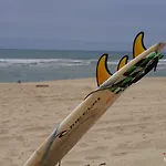 Au Coeur Du Bassin D'arcachon 구장메스트라