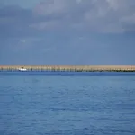 아파트 Au Coeur Du Bassin D'arcachon