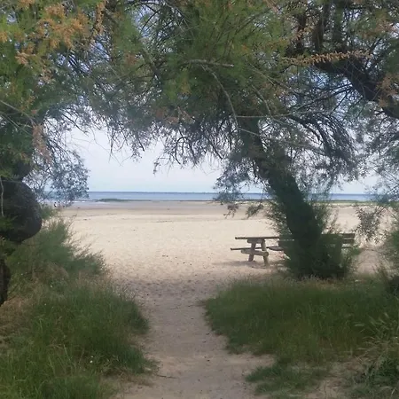 Au Coeur Du Bassin D'arcachon Appartamento Gujan-Mestras