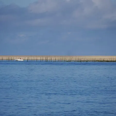 Διαμέρισμα Au Coeur Du Bassin D'arcachon