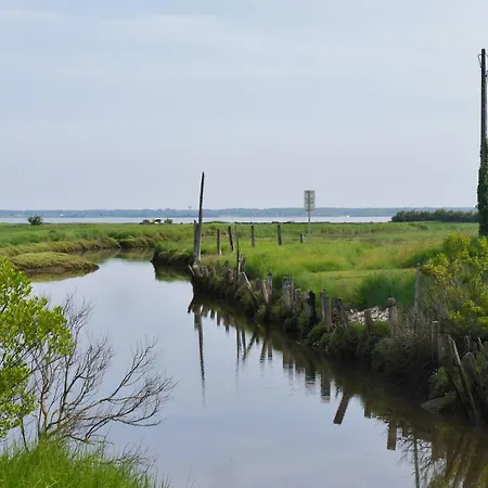 Au Coeur Du Bassin D'arcachon Apartamento Gujan-Mestras
