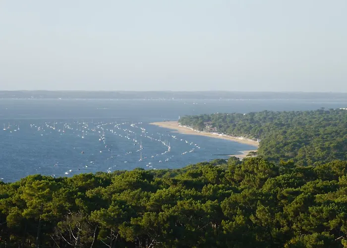 Au Coeur Du Bassin D'arcachon Apartamento