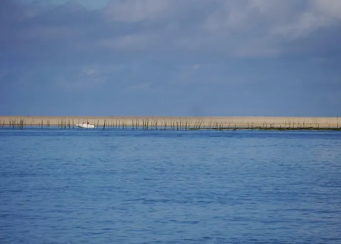 Apartamento Au Coeur Du Bassin D'arcachon
